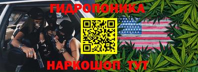 a pvp Дмитров