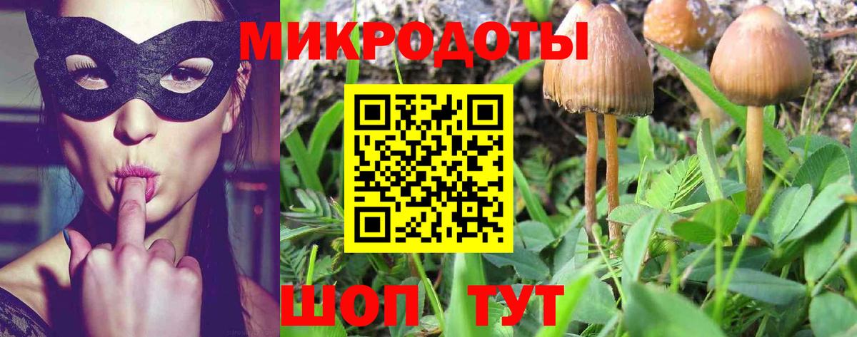 продажа наркотиков  Галлюциногенные грибы прущие грибы  Вход с VPN  Барнаул 