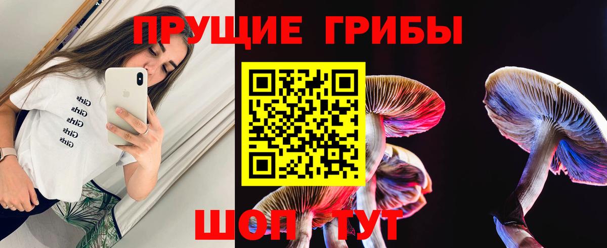 Галлюциногенные грибы Cubensis Барнаул