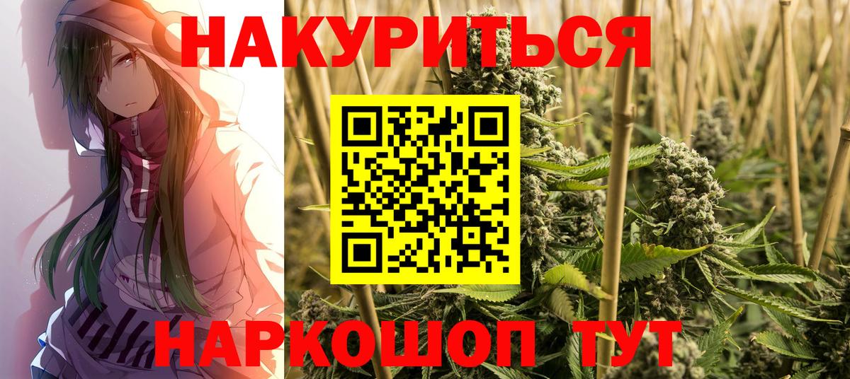 Конопля сатива Барнаул